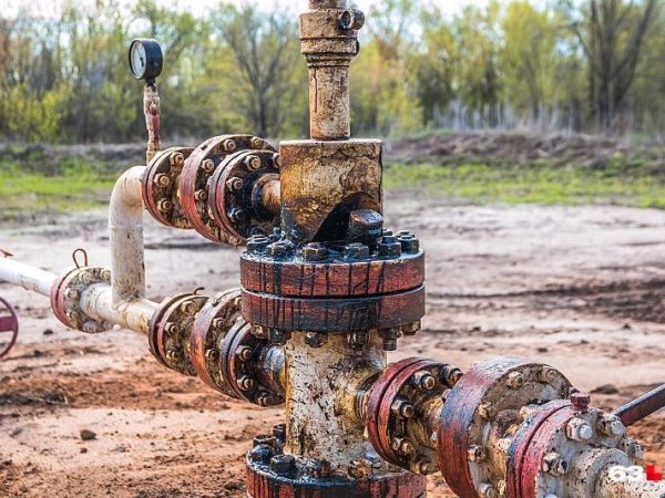 799x534_0xLg8oCxv5_2776265539224547877